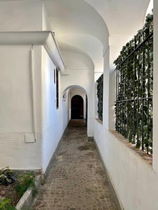 Lovely Apartment In Via Della Scala, Trastevere โรม ภายนอก รูปภาพ